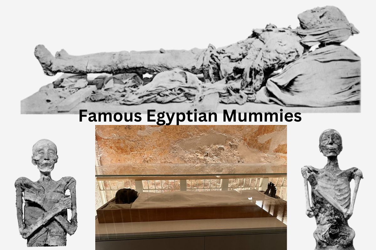 Famous Egyptian Mummies