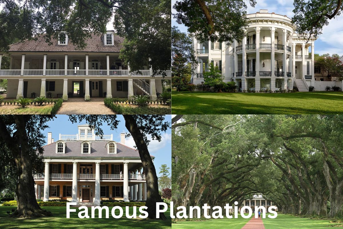 Famous Plantations