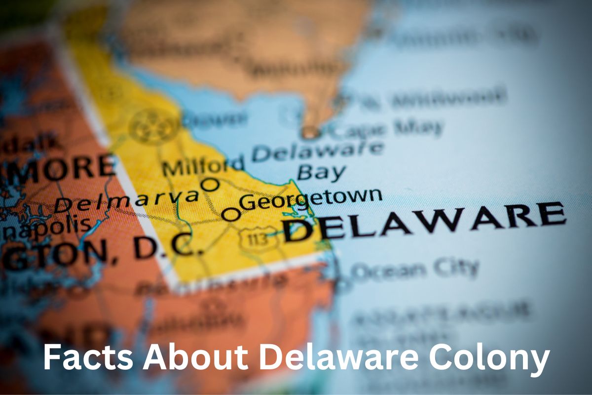 Facts About Delaware Colony