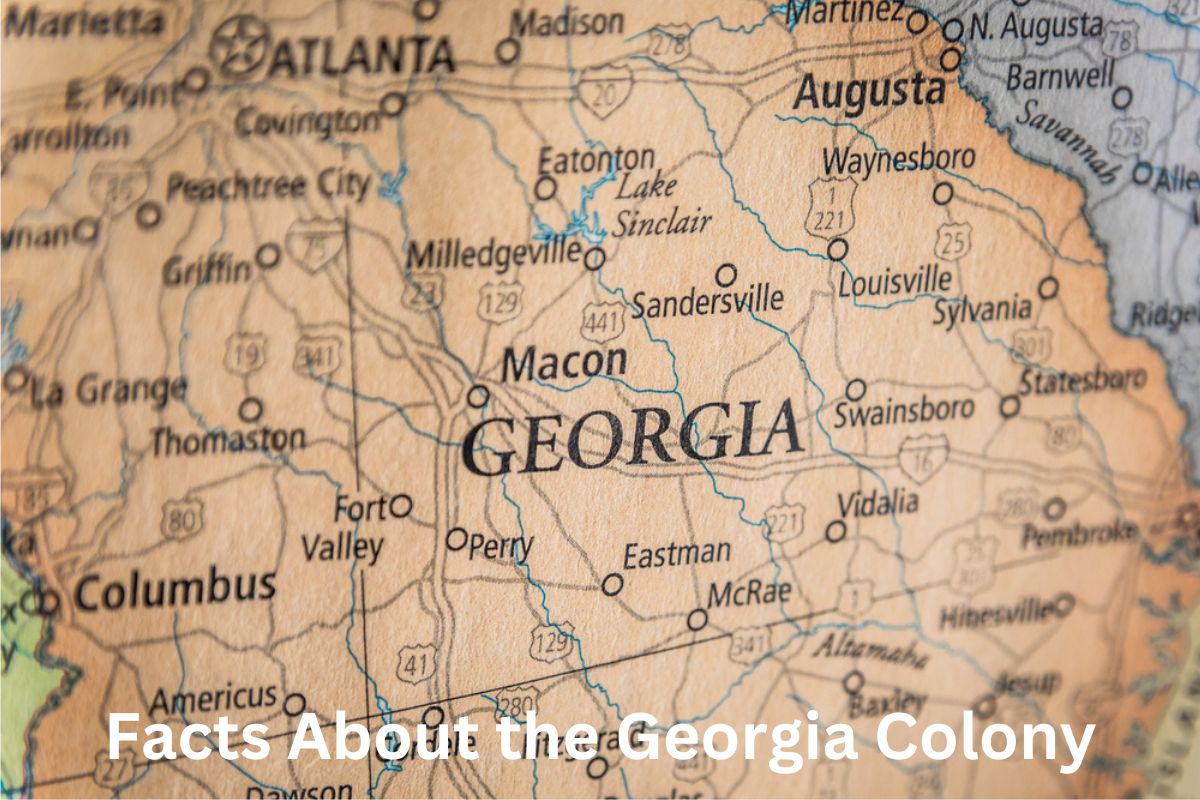 Facts About the Georgia Colony