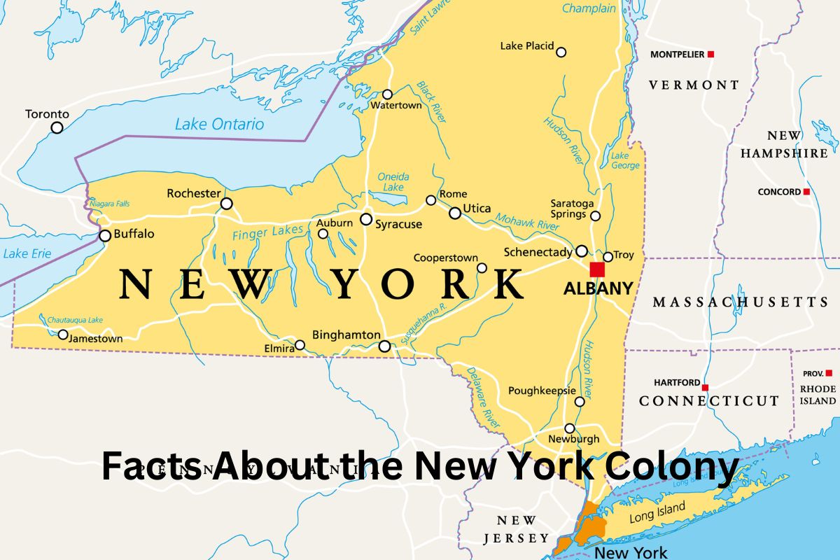 new york colony research