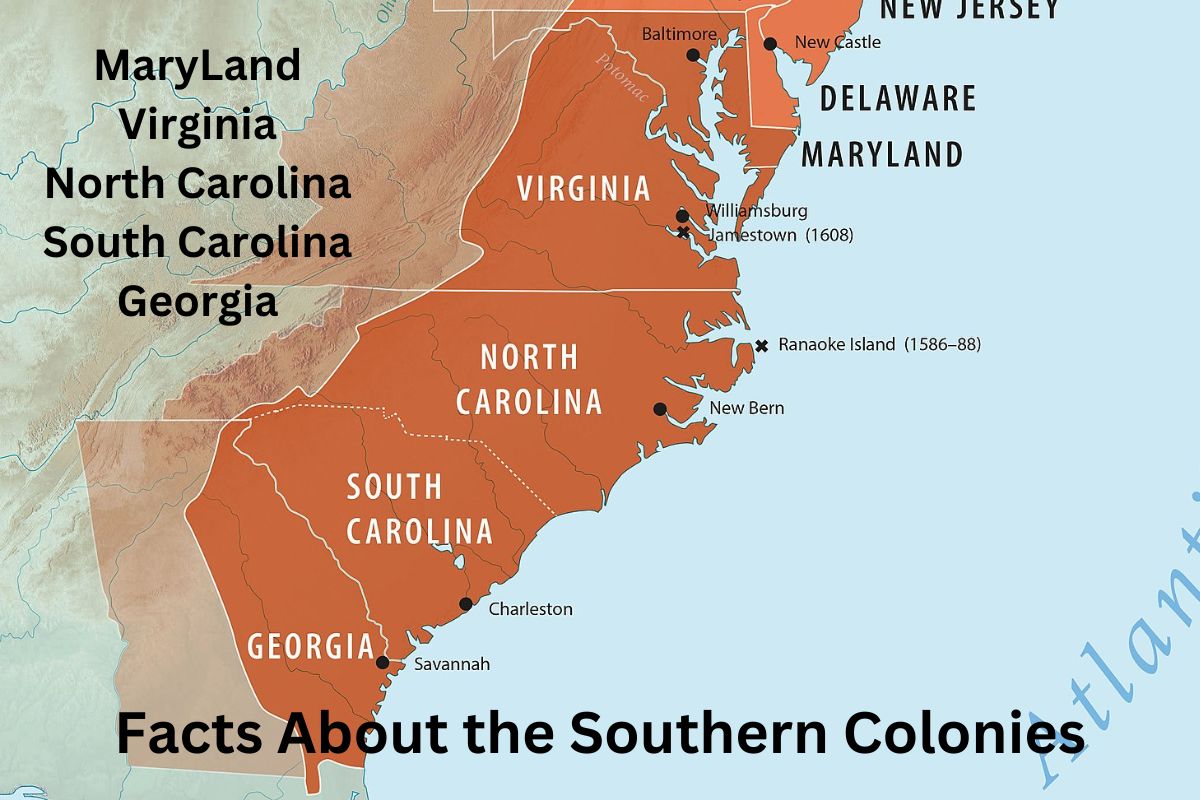 Facts About the Southern Colonies