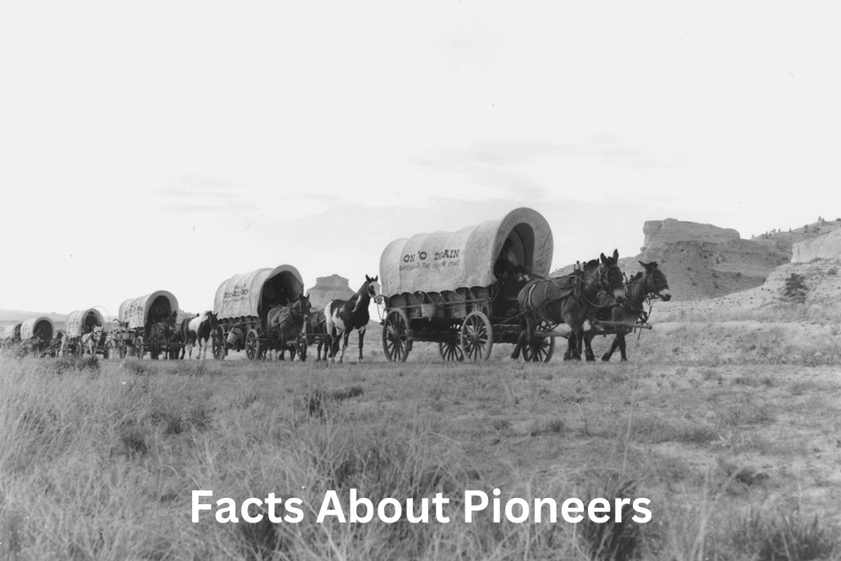 Facts About Pioneers
