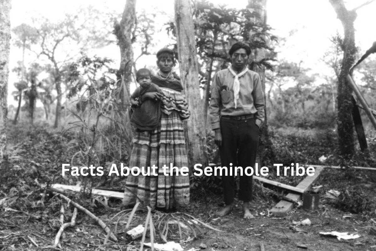 Facts About the Seminole Tribe