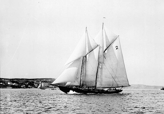 Bluenose