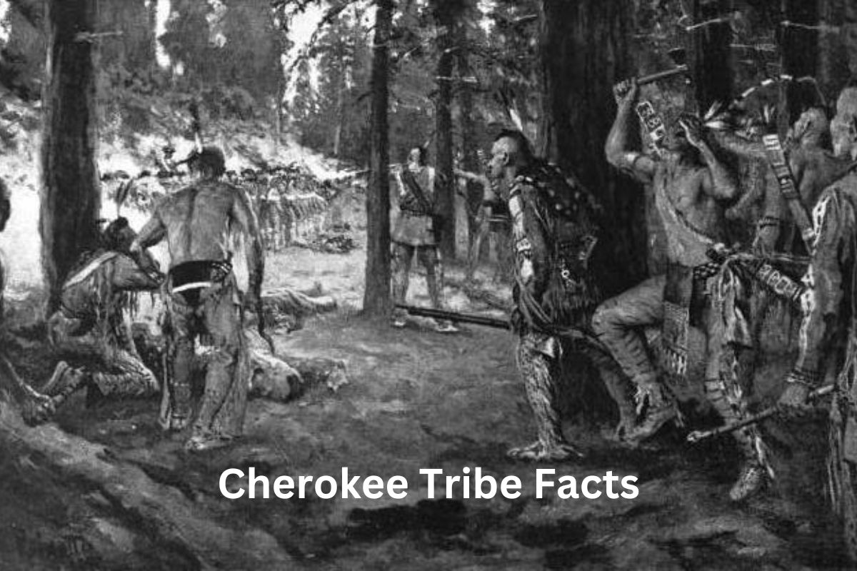 Cherokee Tribe Facts