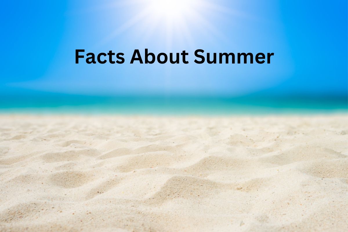 Facts About Summer