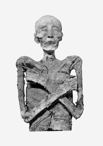 Merneptah Mummy