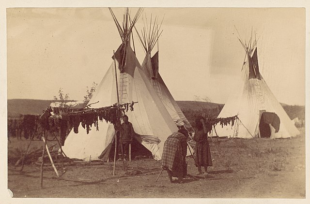 Native American Woman in Camp