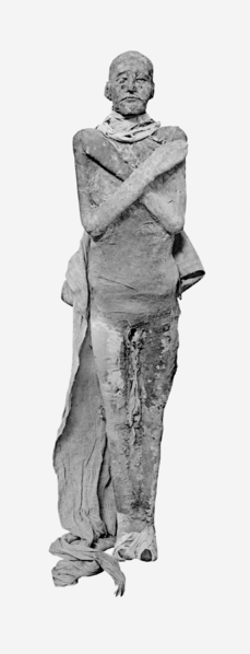 Ramesses III Mummy