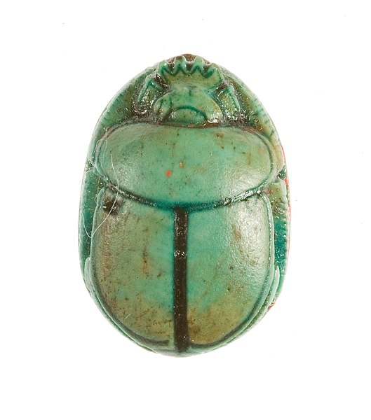 Scarab Beetle