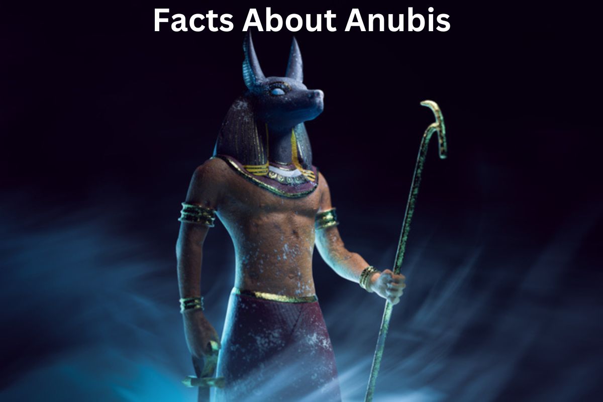 Facts About Anubis