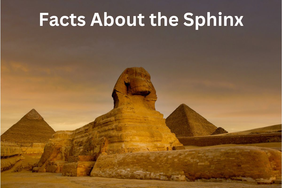 Facts About the Sphinx