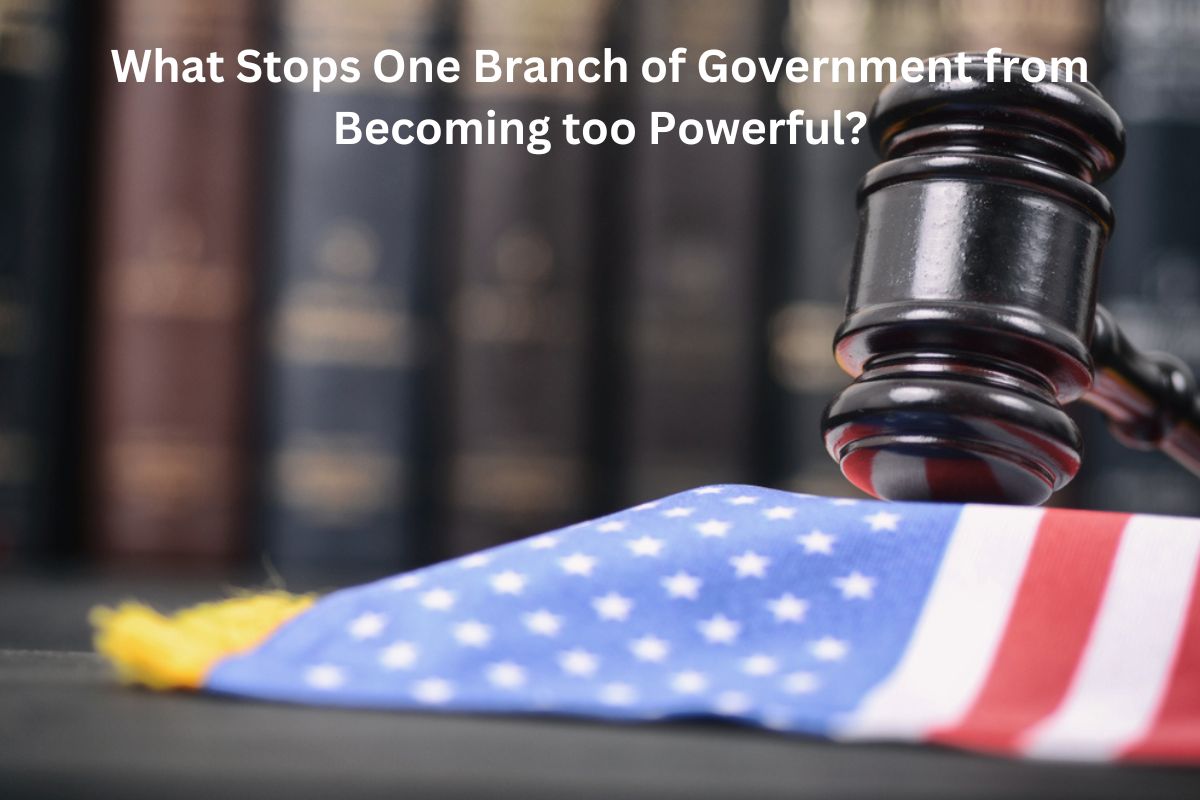 What Stops One Branch of Government from Becoming too Powerful?