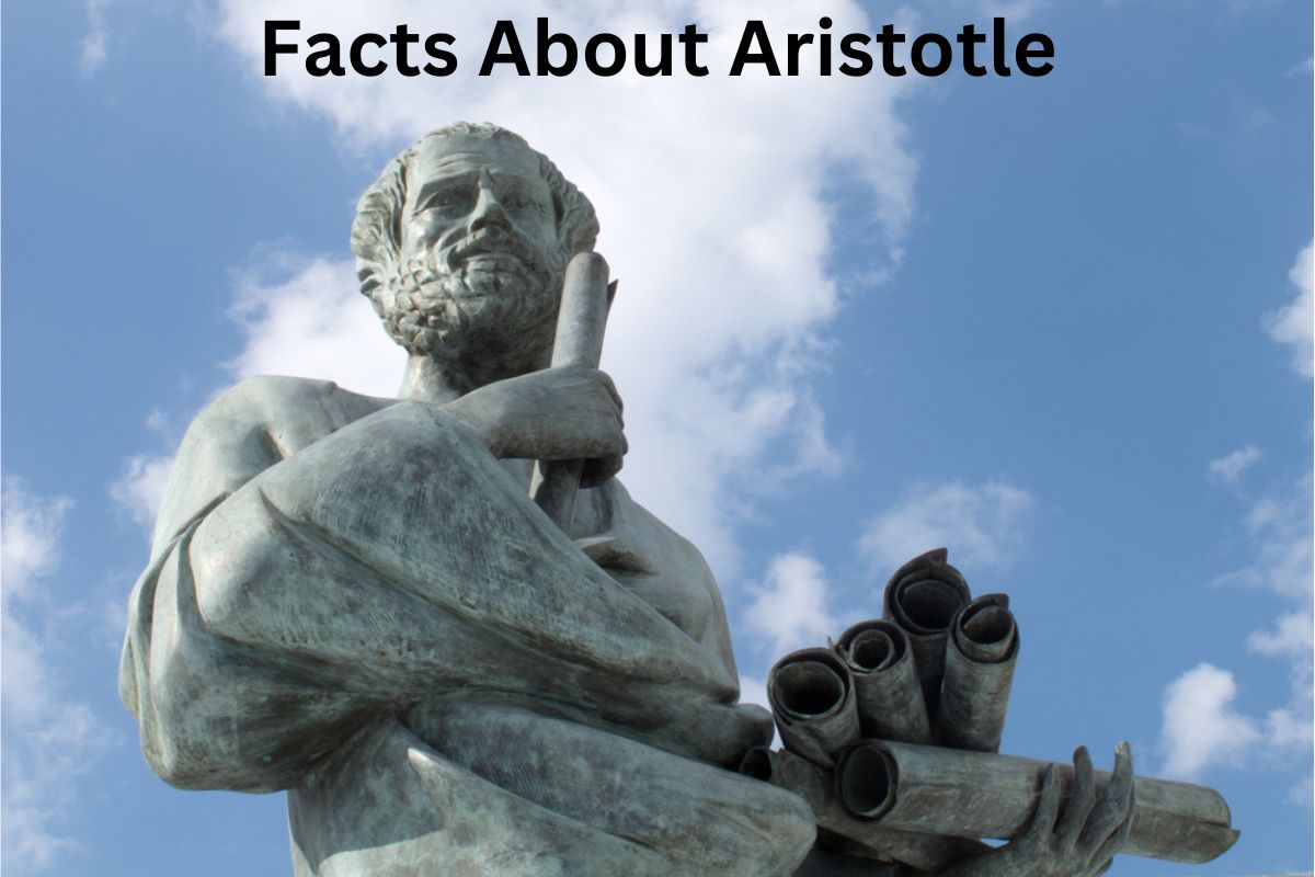 Facts About Aristotle