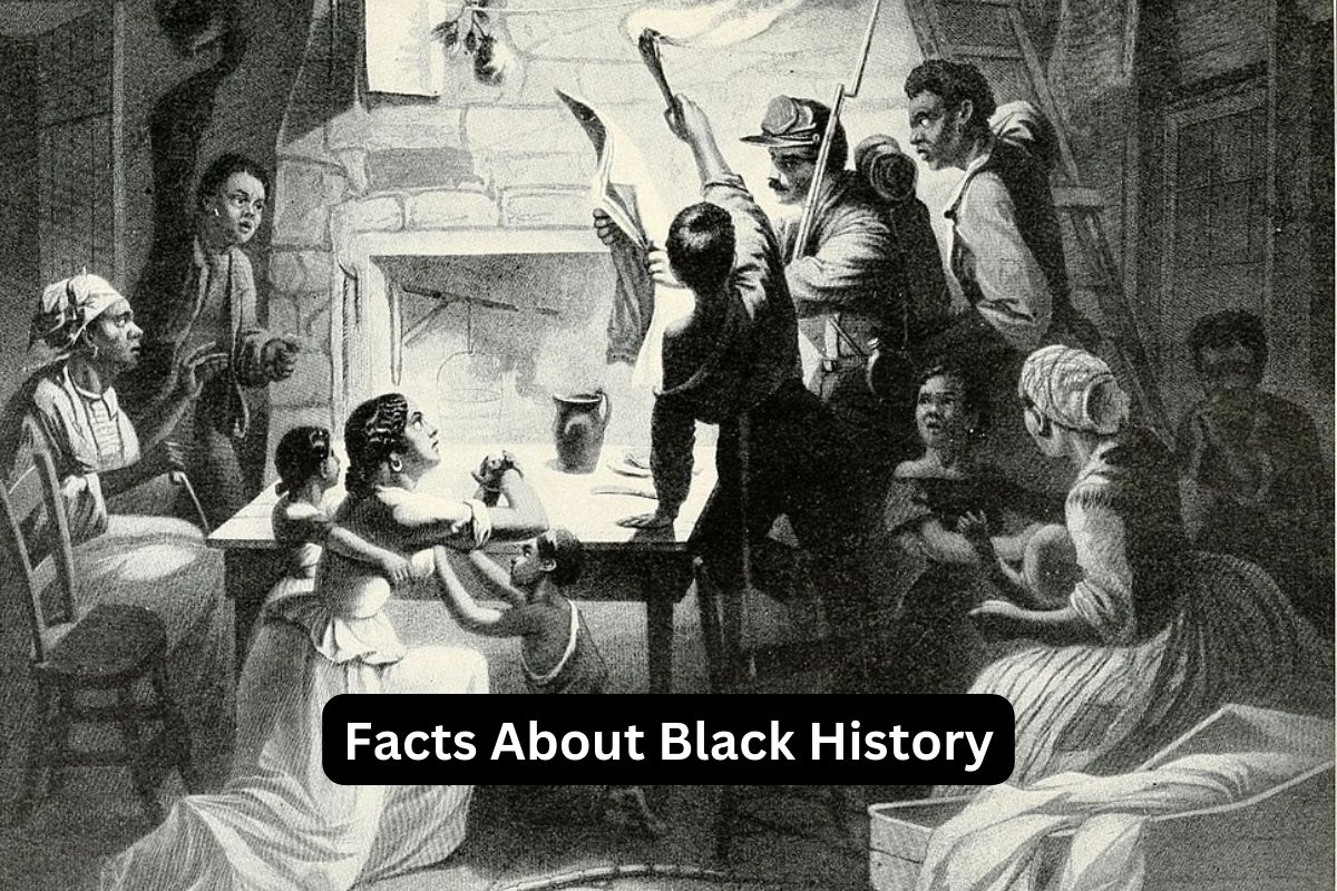Facts About Black History