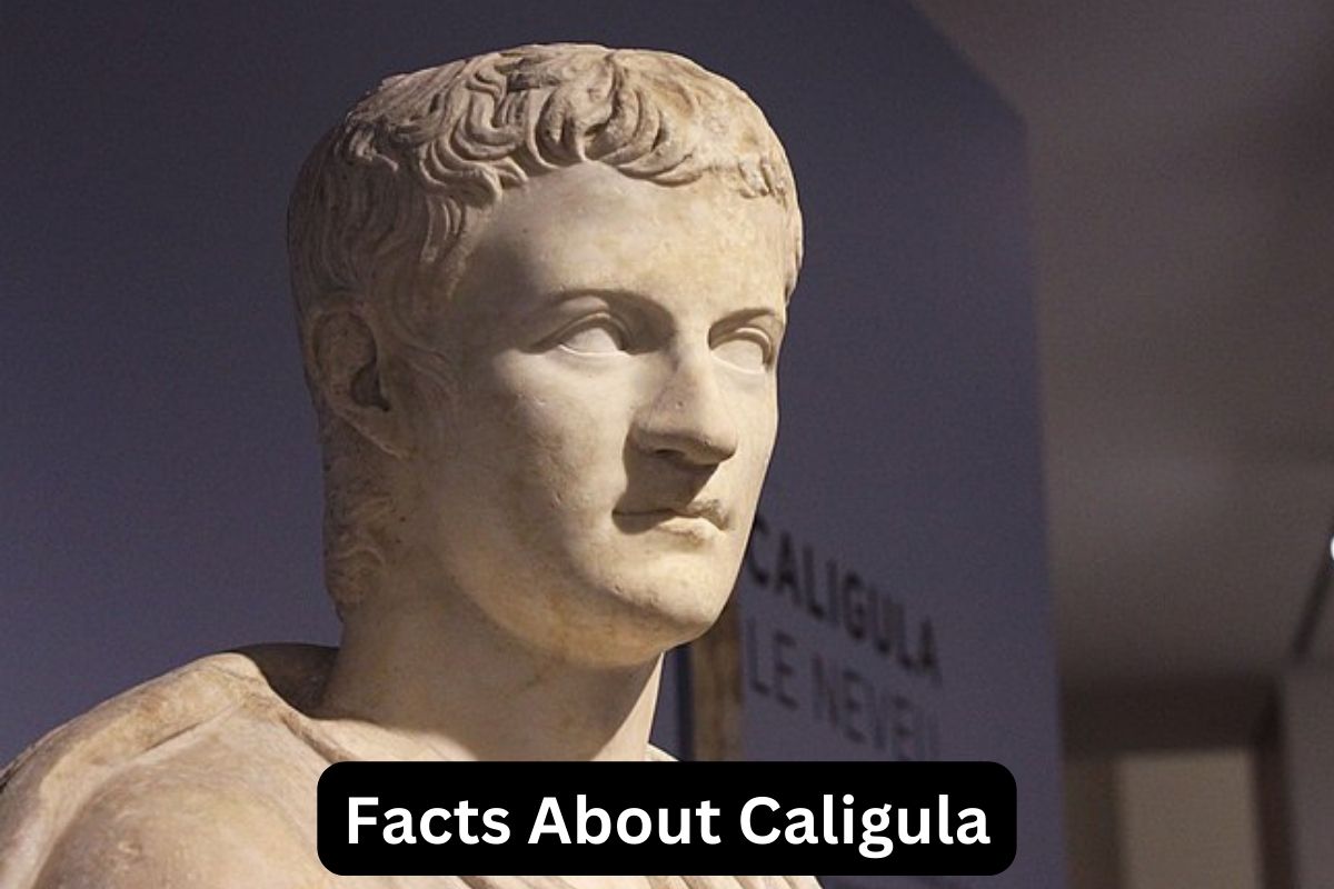Facts About Caligula