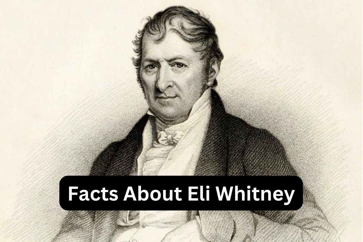 Facts About Eli Whitney