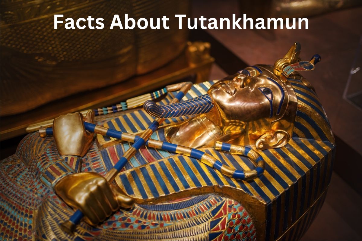 Facts About Tutankhamun