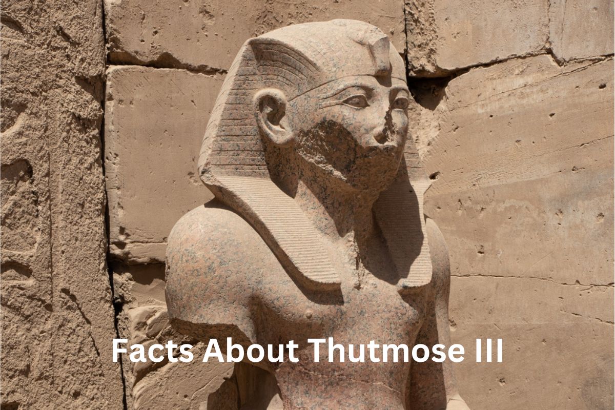 Facts about Thutmose III