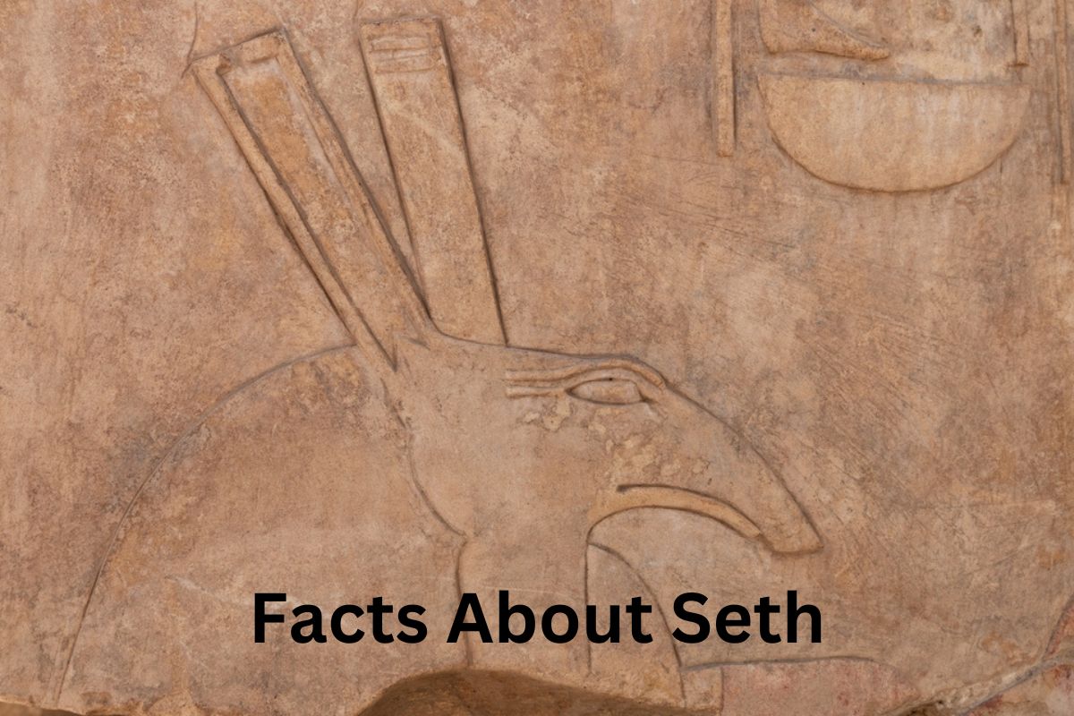 Facts About Seth