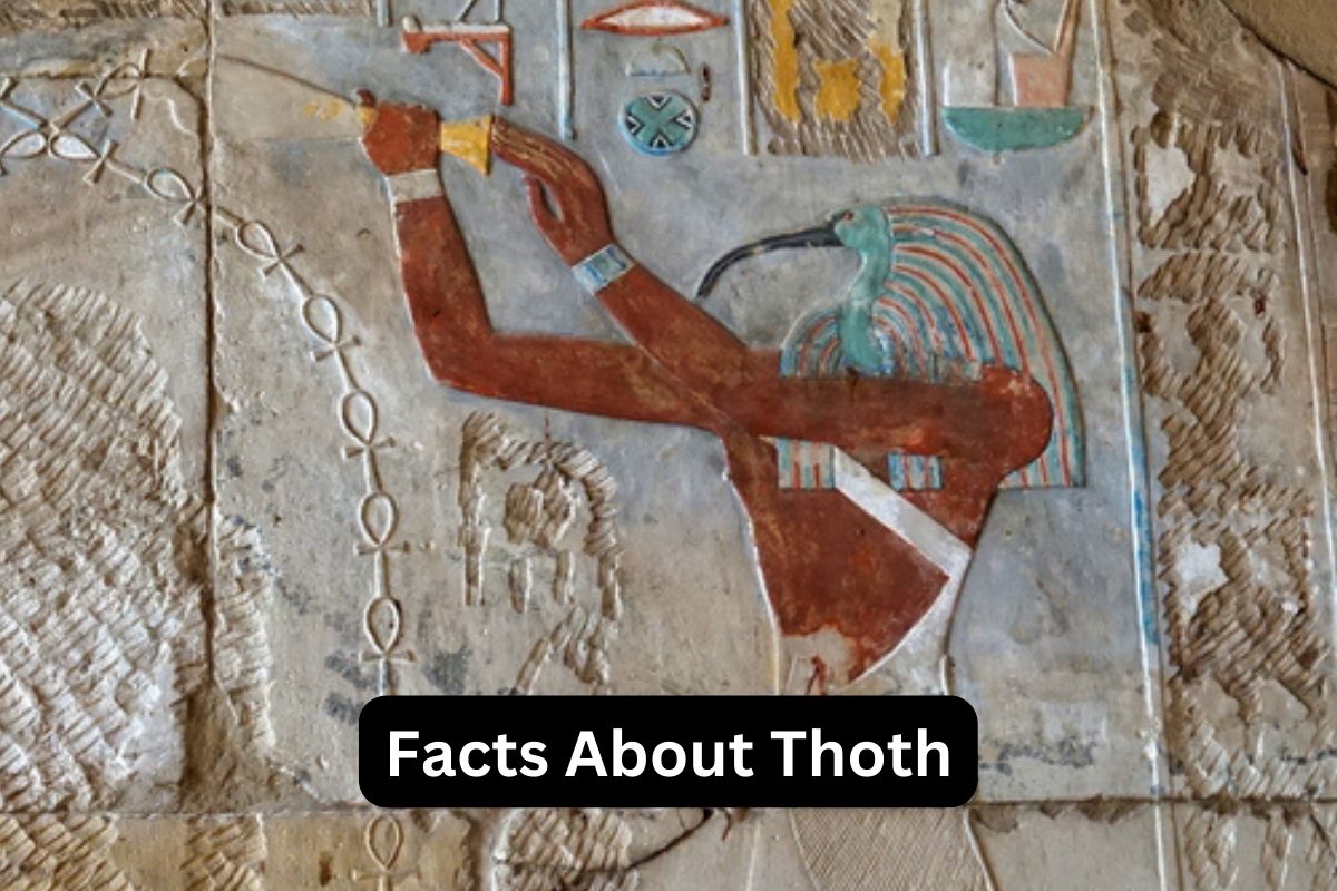Facts About Thoth the Egyptian God