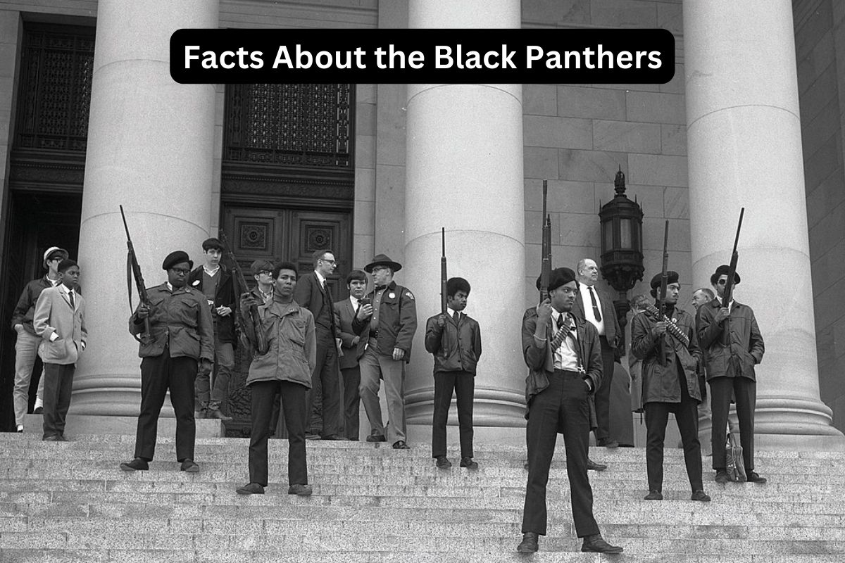 13 Facts About the Black Panthers - Have Fun With History