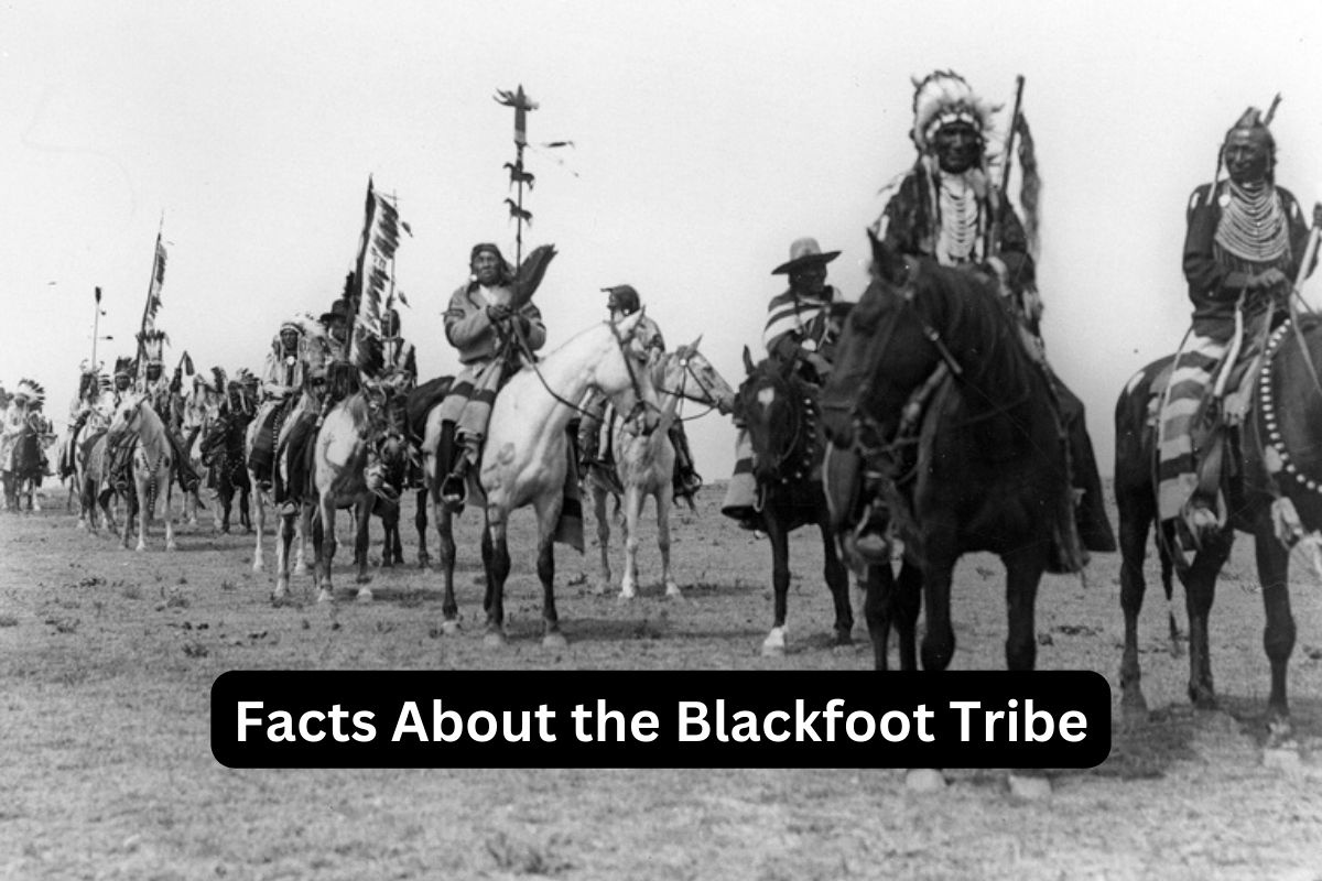 Facts About the Blackfoot Tribe