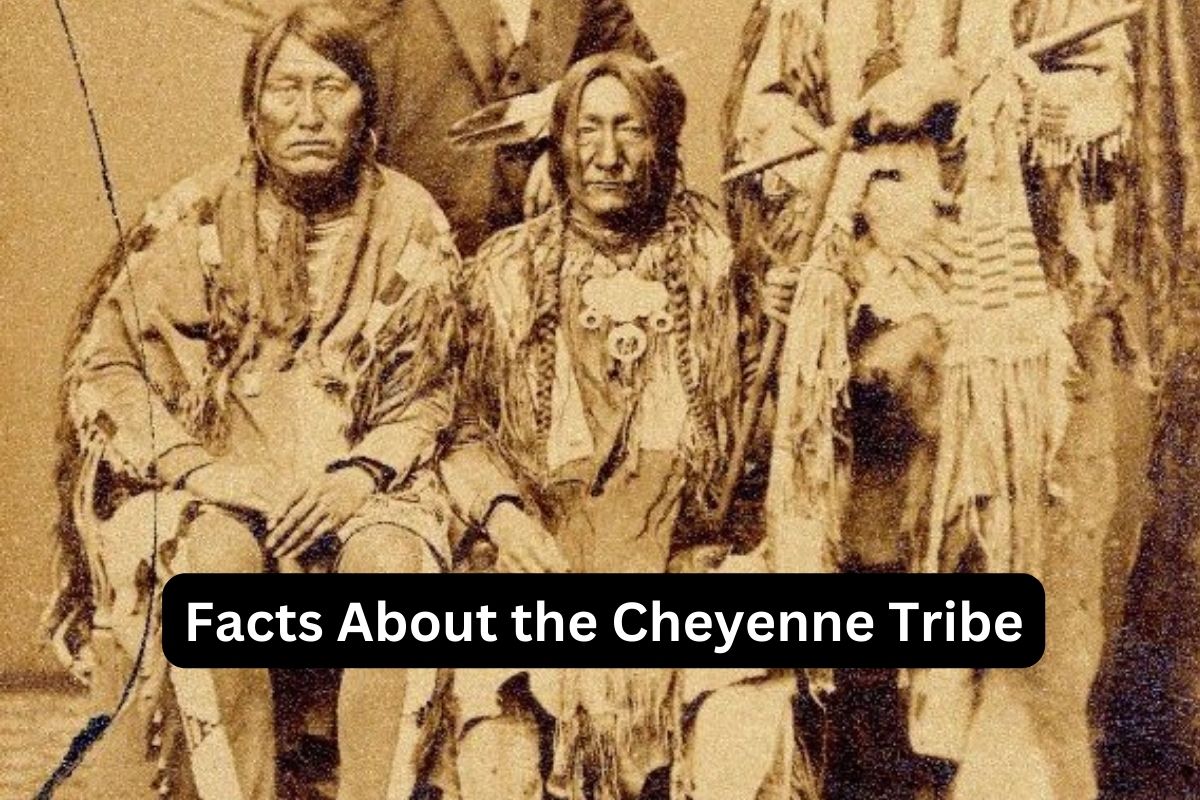 Facts About the Cheyenne Tribe