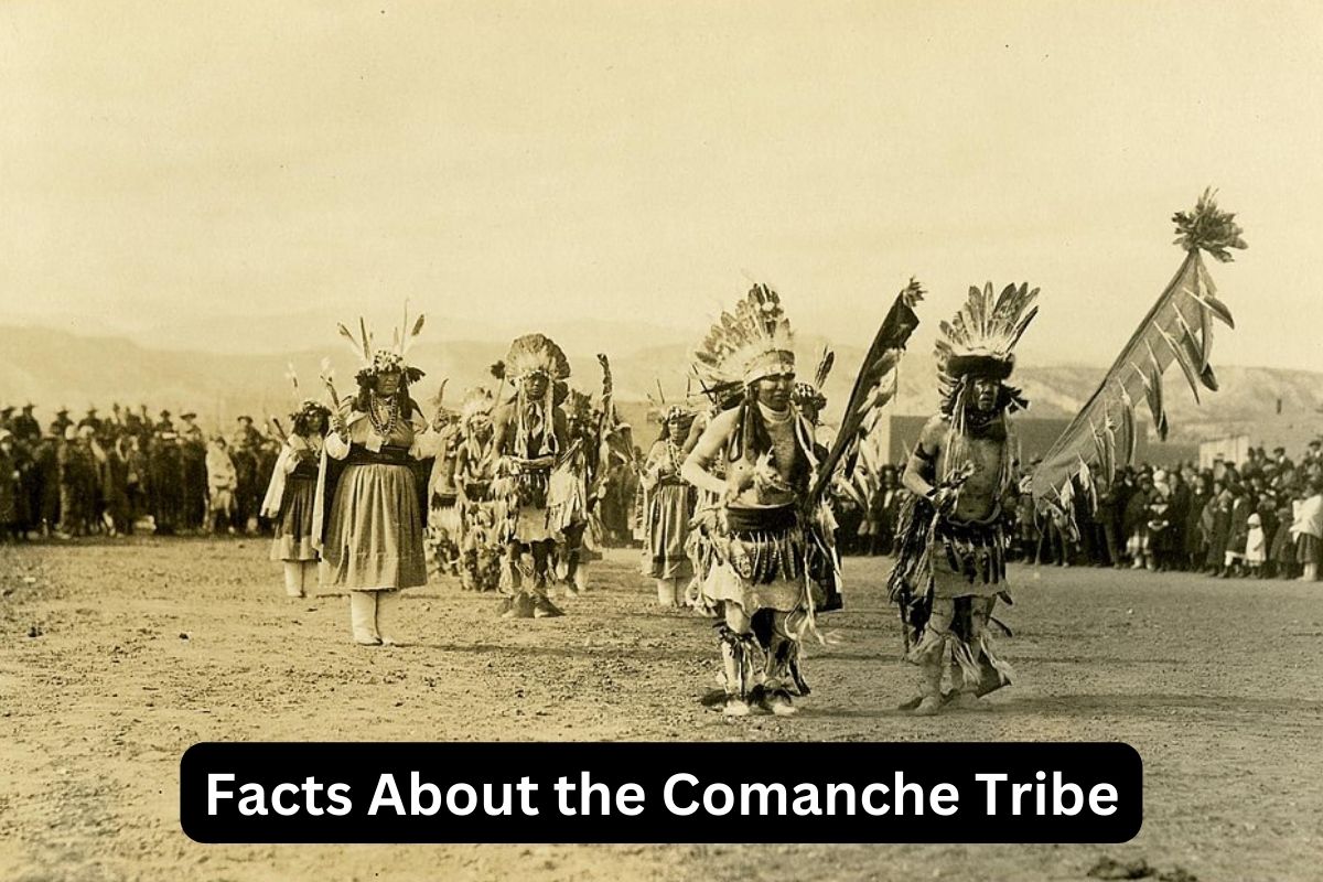 Facts About the Comanche Tribe