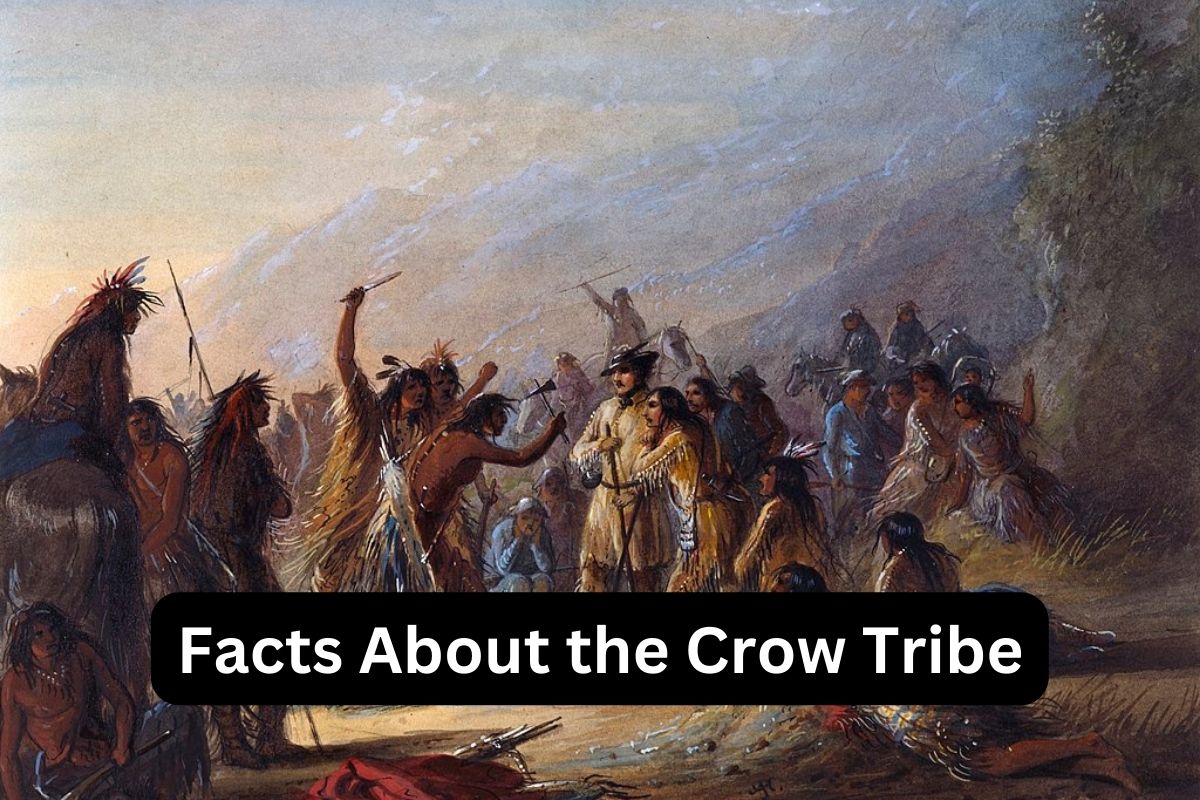 Facts About the Crow Tribe