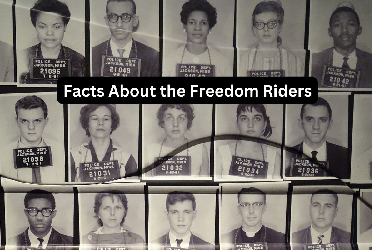 Facts About the Freedom Riders