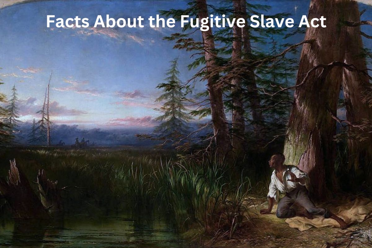 Facts About the Fugitive Slave Act