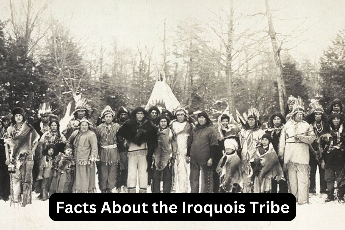Facts About the Iroquois Tribe