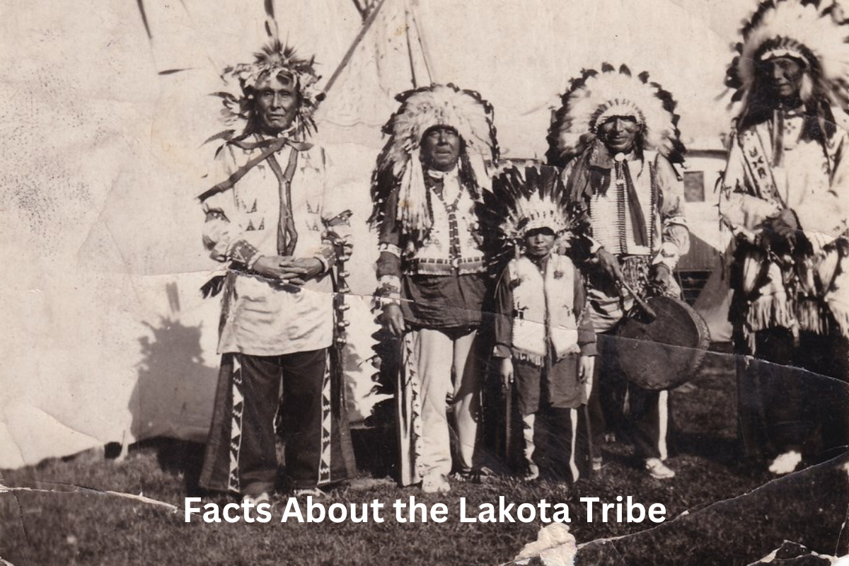 Facts About the Lakota Tribe