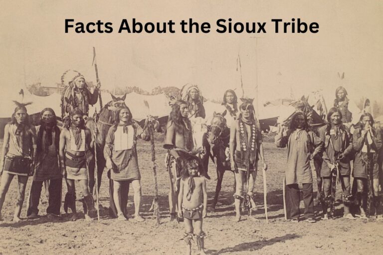 10 Facts About the Sioux Tribe Have Fun With History