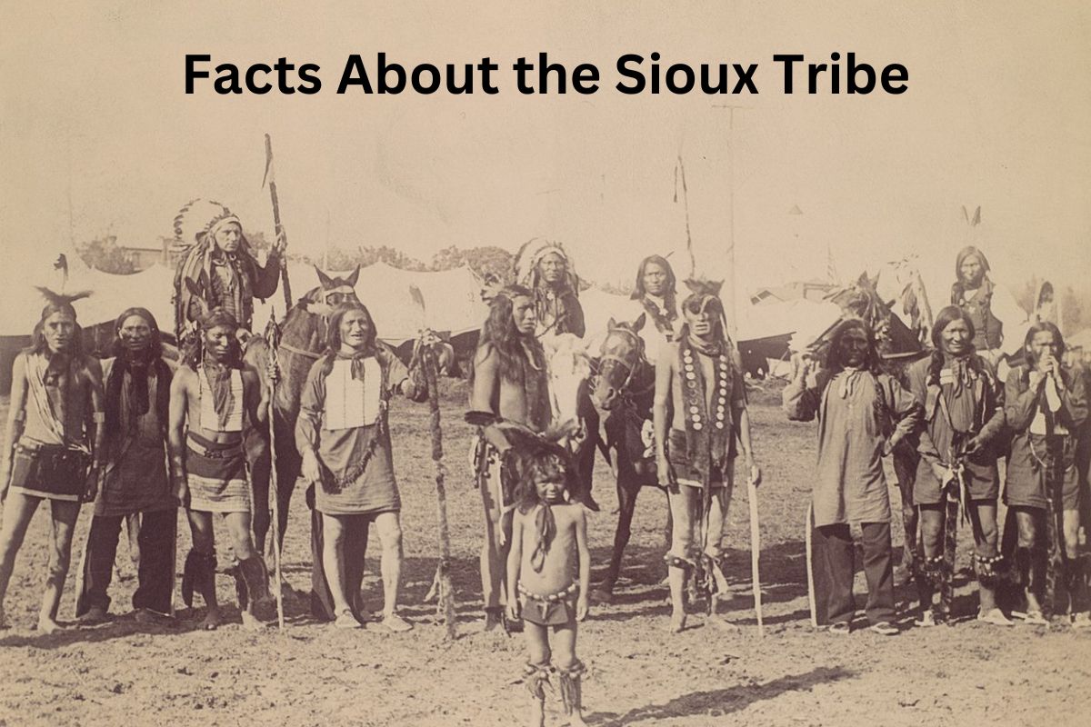 Facts About the Sioux Tribe