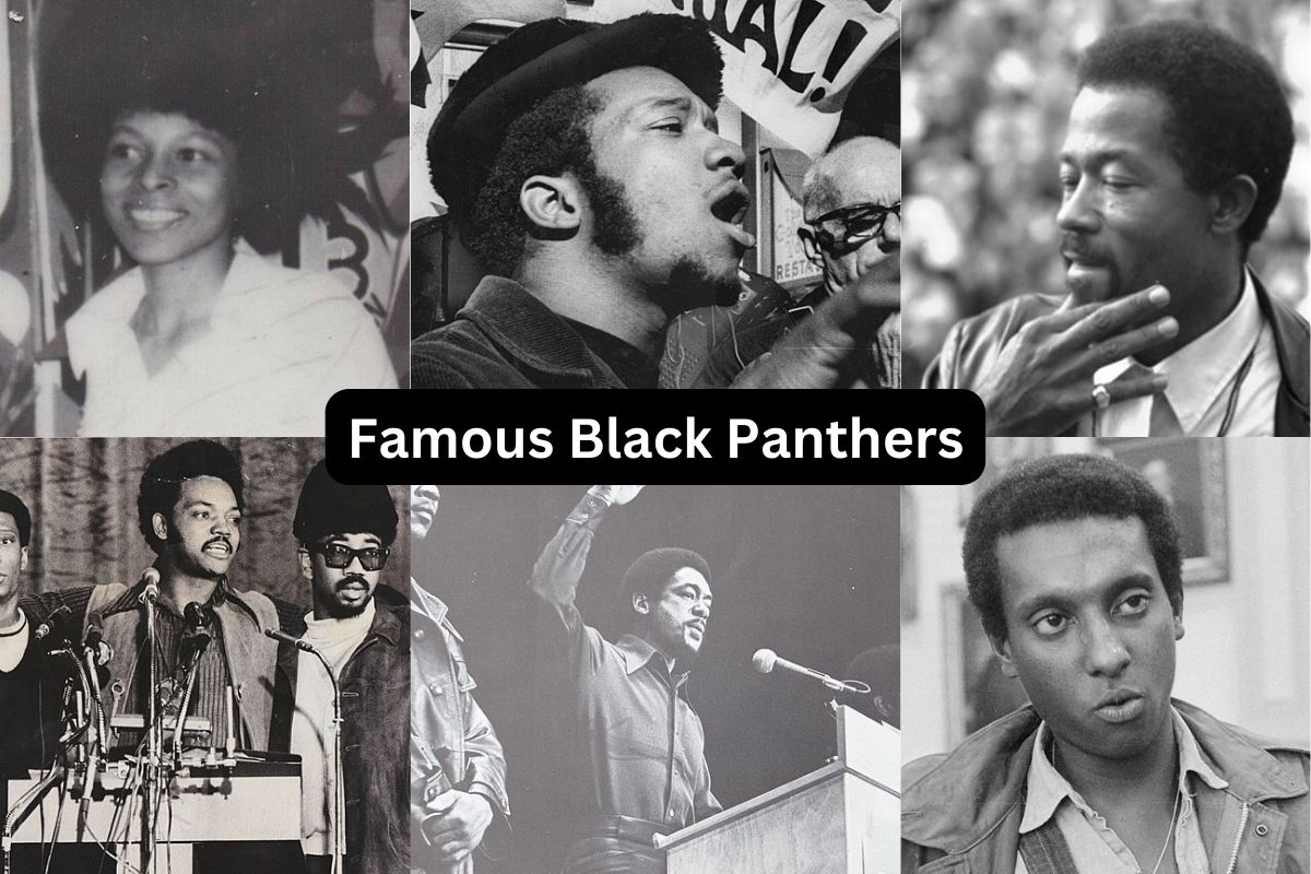 Famous Black Panthers