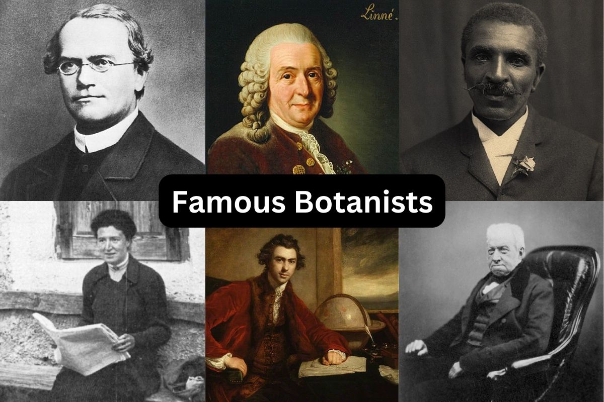 Famous Botanists