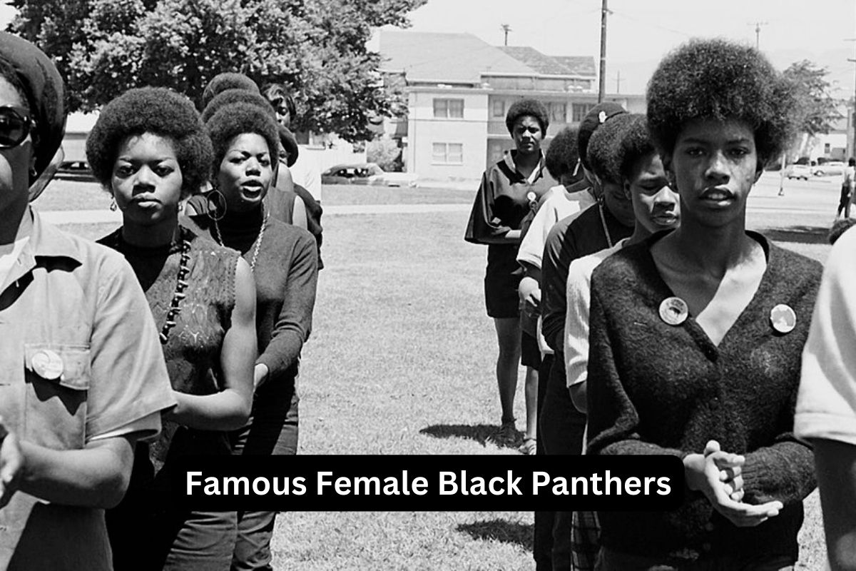 Famous Female Black Panthers