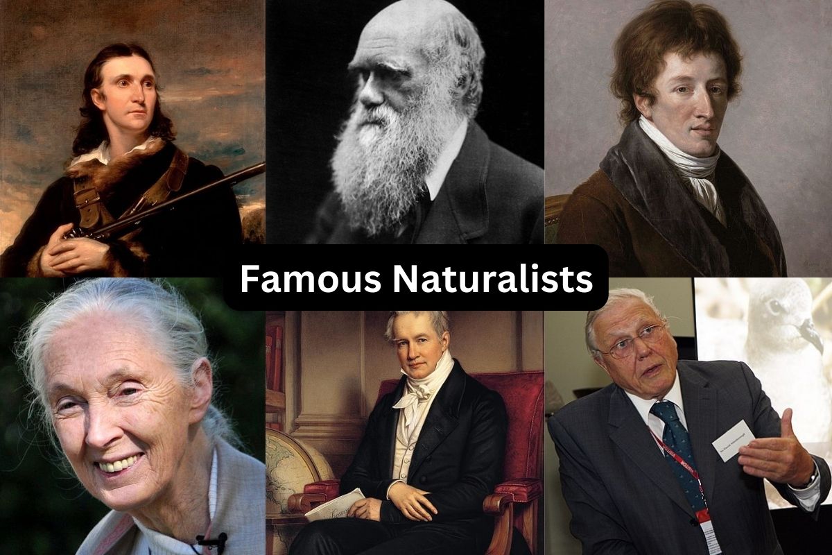 Famous Naturalists