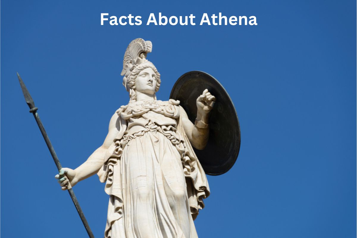 Athena: The Greek Goddess of Wisdom, Creativity, and Inspiration