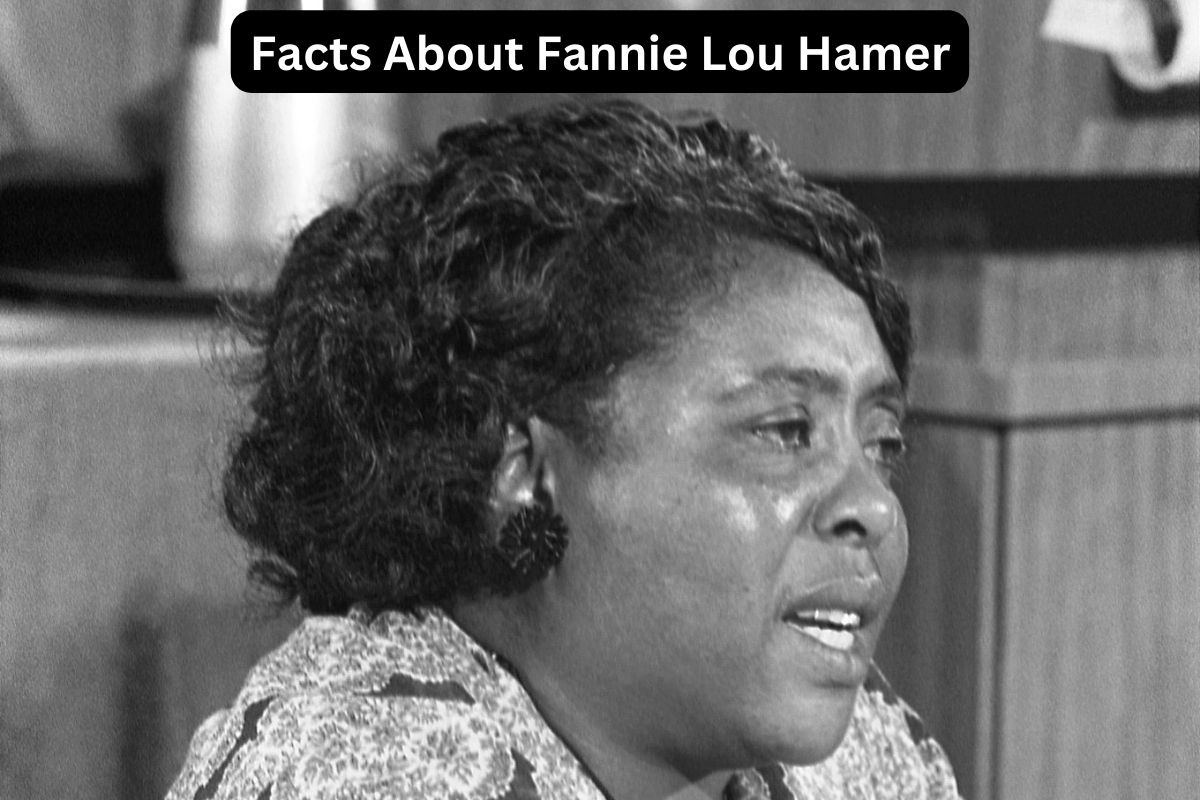 Facts About Fannie Lou Hamer