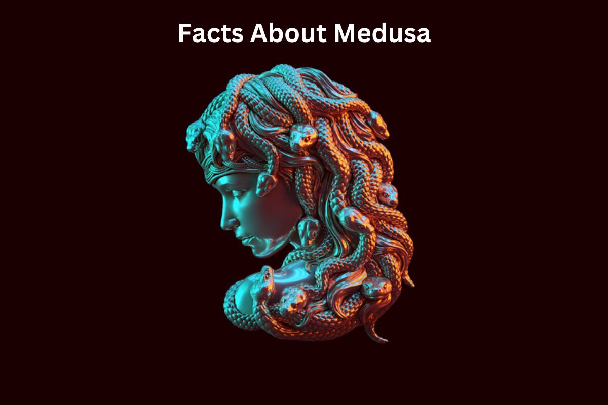Facts About Medusa