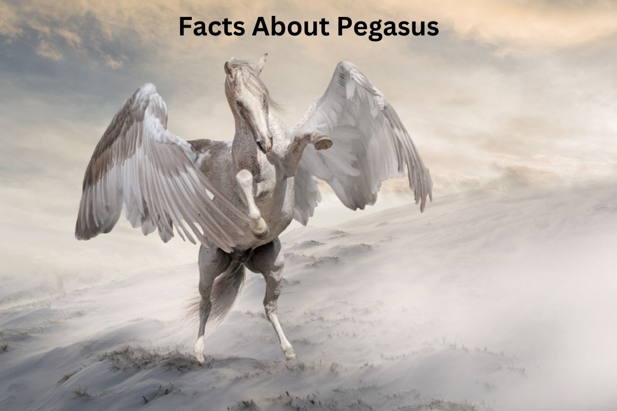 Facts About Pegasus