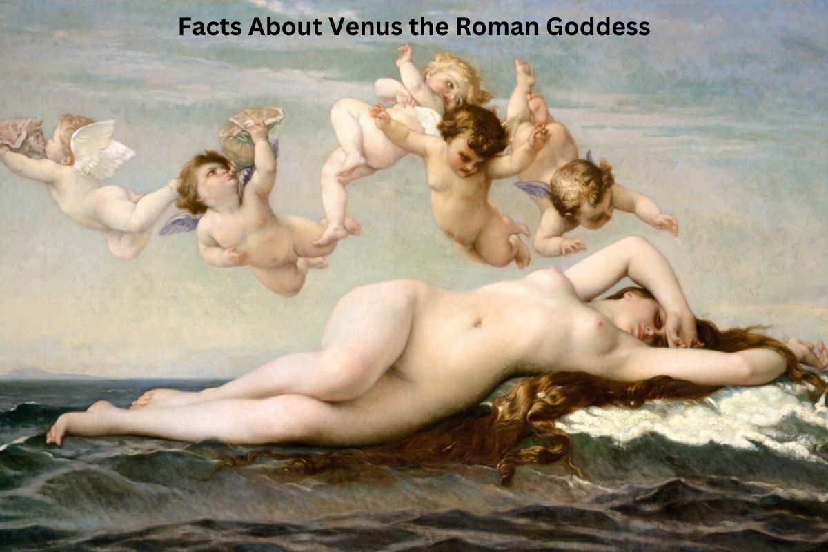 Facts About Venus the Roman Goddess