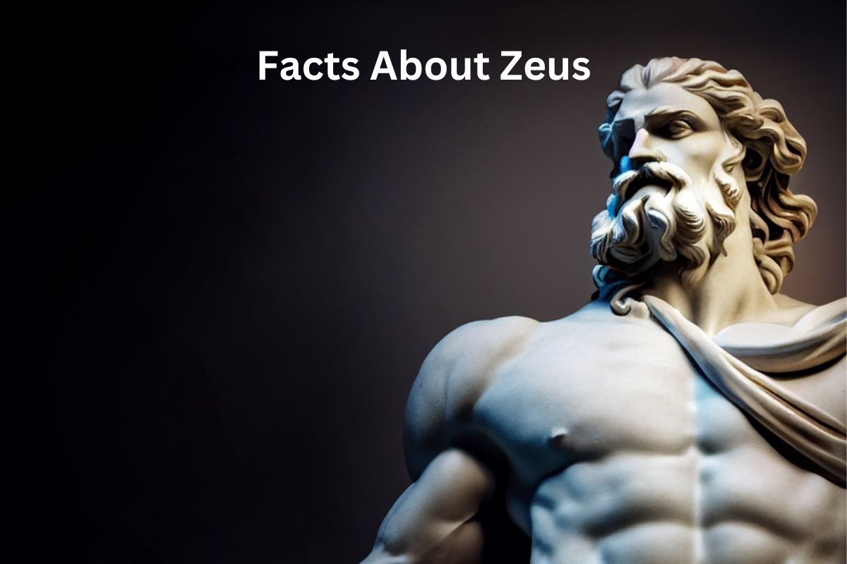 Get to Know Zeus and the Gods of Olympus