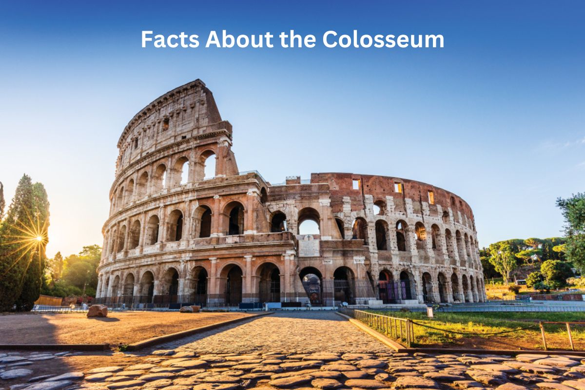 Facts About the Colosseum