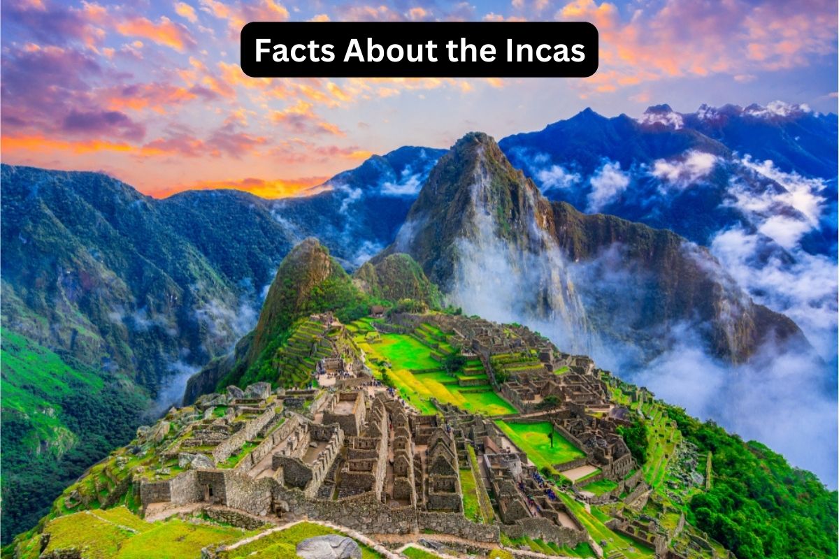 10 Facts About the Incas - Have Fun With History