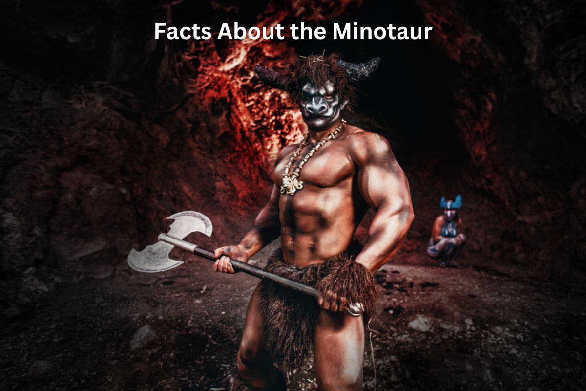 Facts About the Minotaur